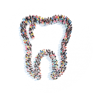 cropped-icon.png